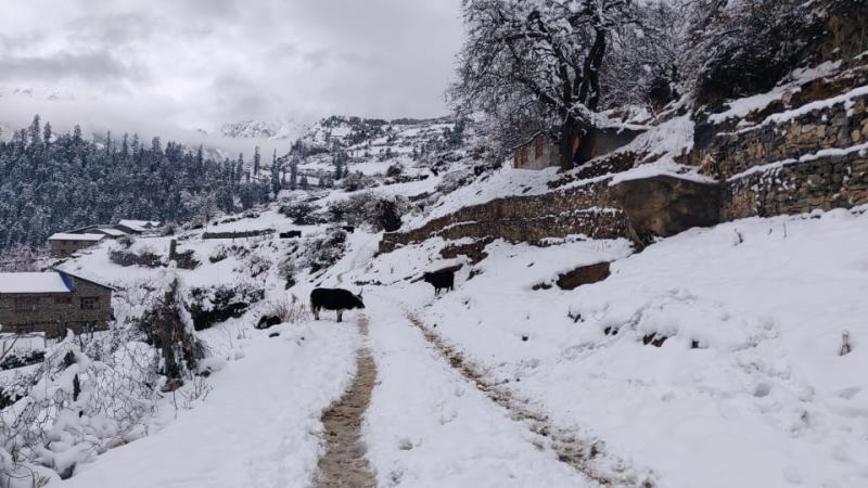 म्याग्दी हिउँ पहिरोमा बेपत्ता छन्त्याल अझै सम्पर्कविहीन